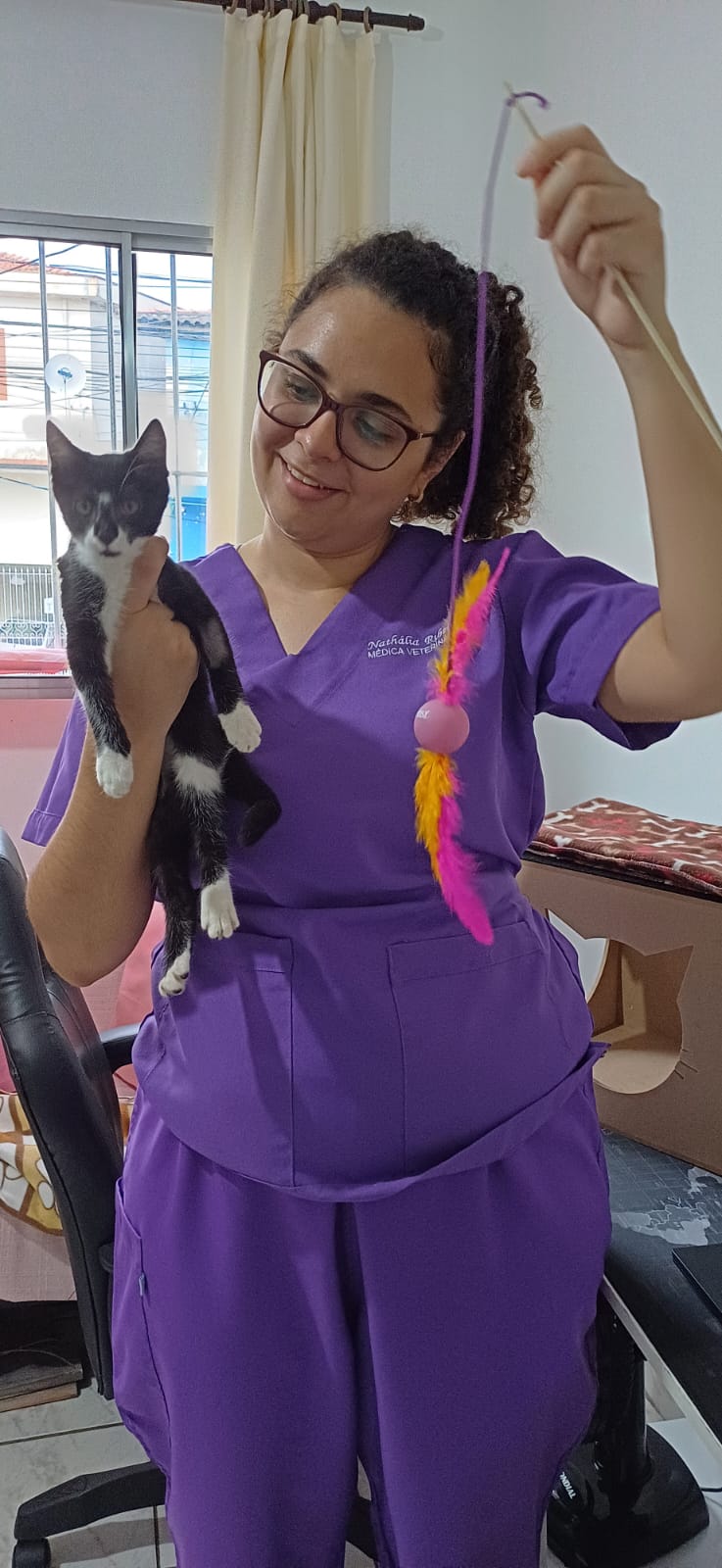 Atendimento felino domiciliar da Dra. Nathália Ribeiro