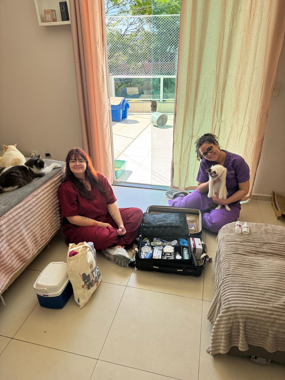 Atendimento felino domiciliar da Dra. Nathália Ribeiro